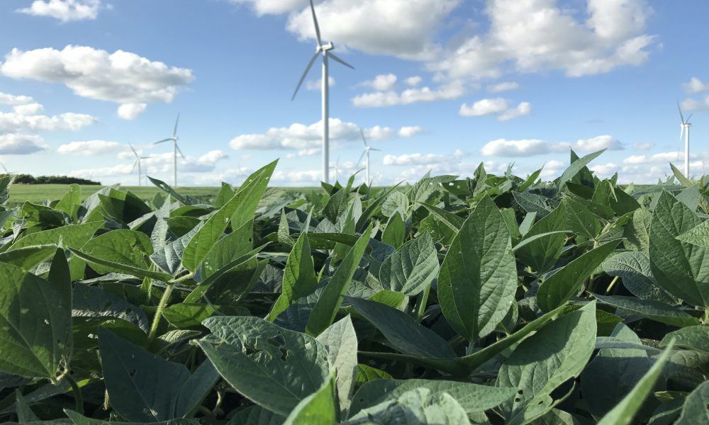 It’s a wrap: Best moments from the first #AmericanWindWeek