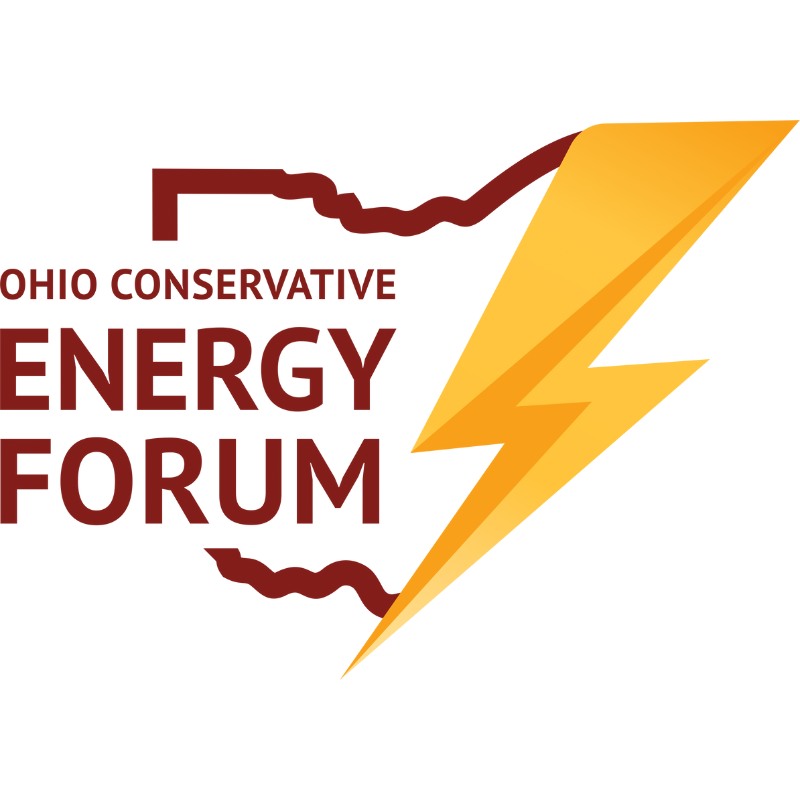 Participating Organization 17