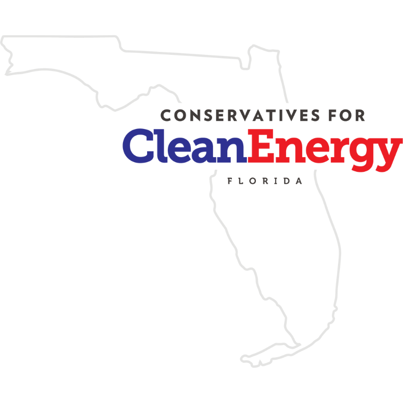 Participating Organization 5